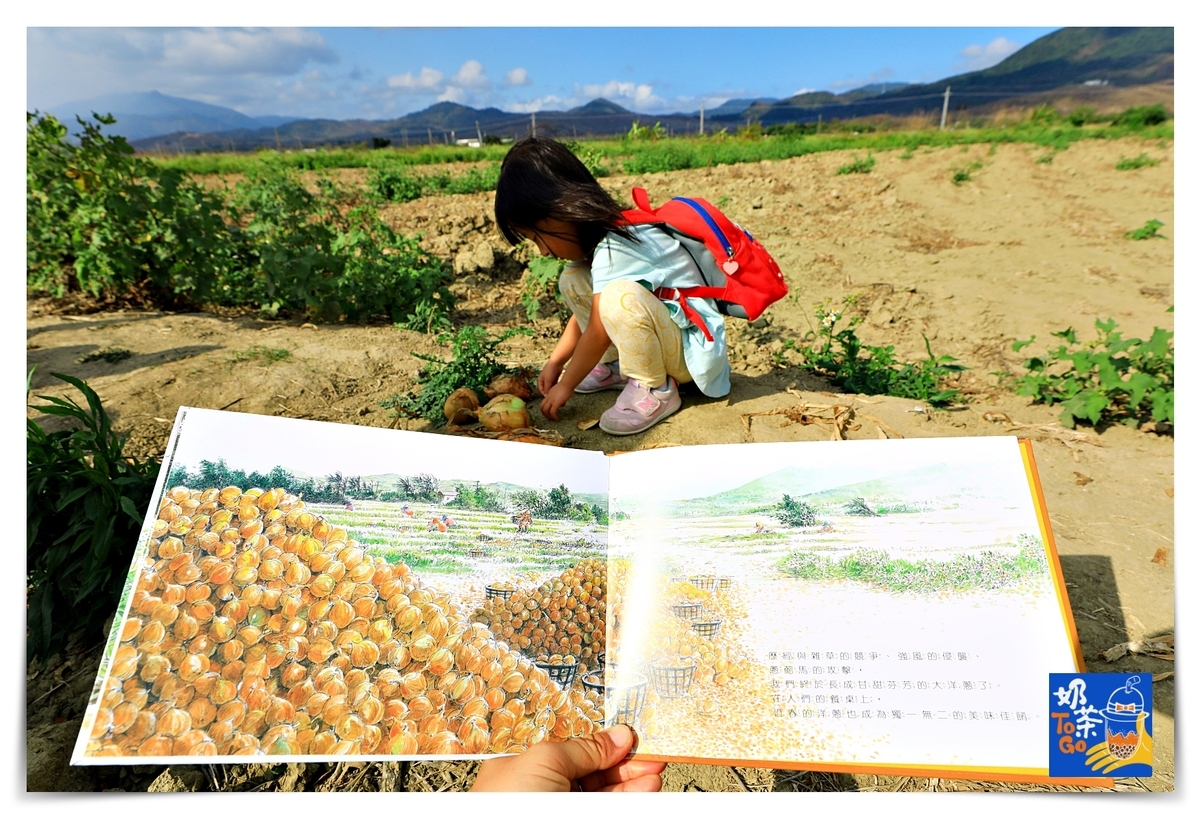 跟著圖畫書去旅行｜愛吹風的洋蔥與屏東那一頁風～那一片海，那書香與旅行品味的漫遊香氣，雋永難忘-吉光旅遊