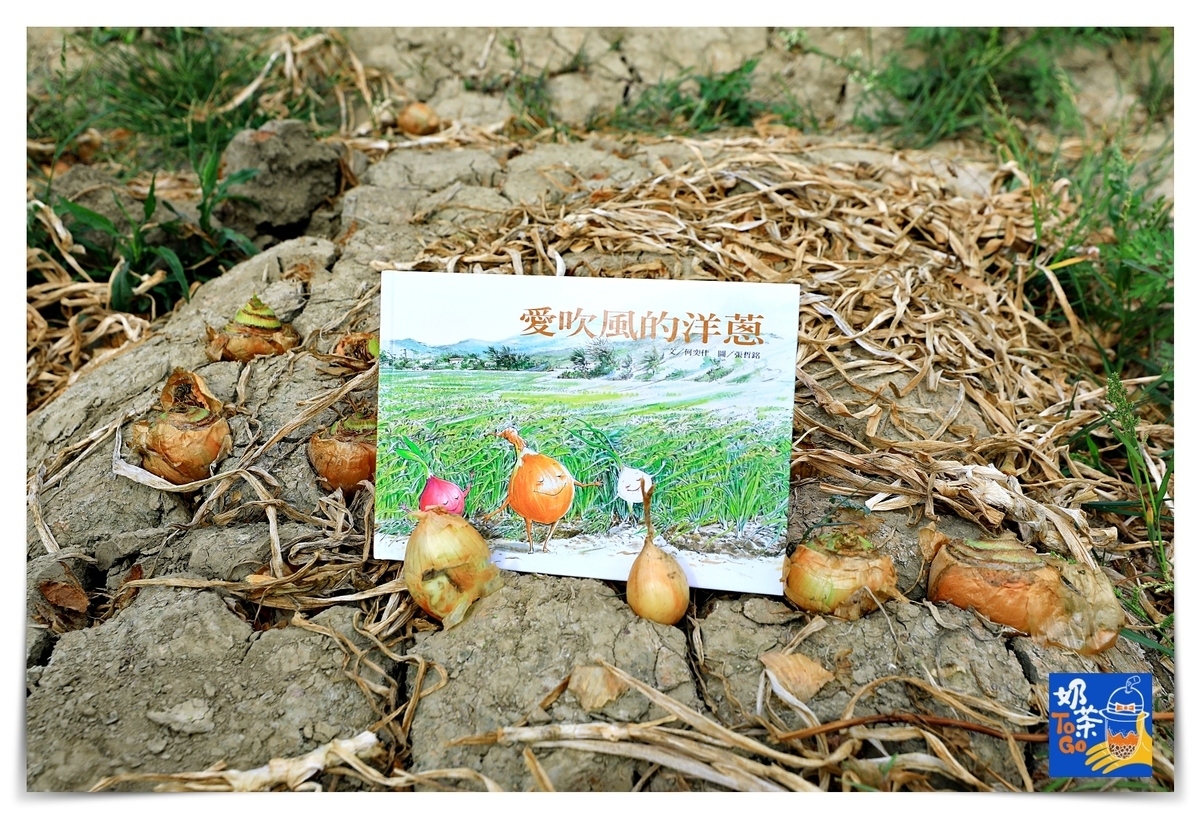 跟著圖畫書去旅行｜愛吹風的洋蔥與屏東那一頁風～那一片海，那書香與旅行品味的漫遊香氣，雋永難忘-吉光旅遊 @走走停停，小燈泡在旅行