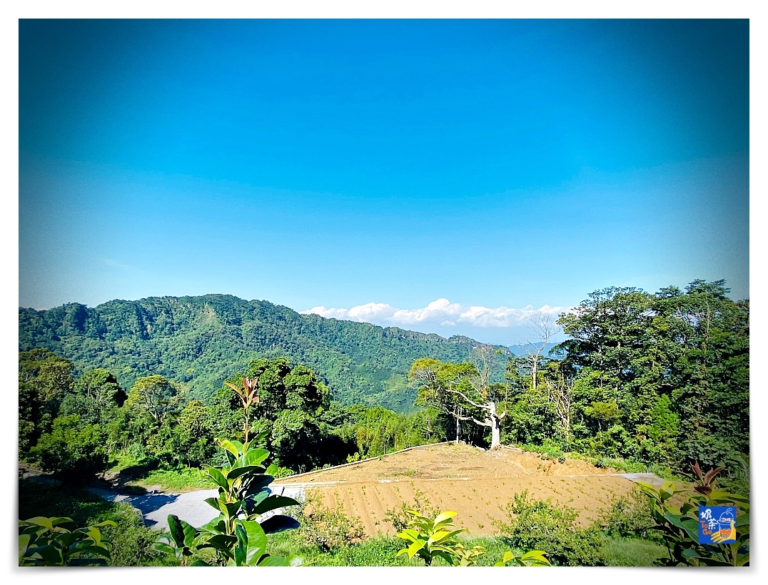 雲洞山莊。沁澐森林｜一次看雲海、遠眺苗栗、台中、可健行可舒心放風的山林住宿