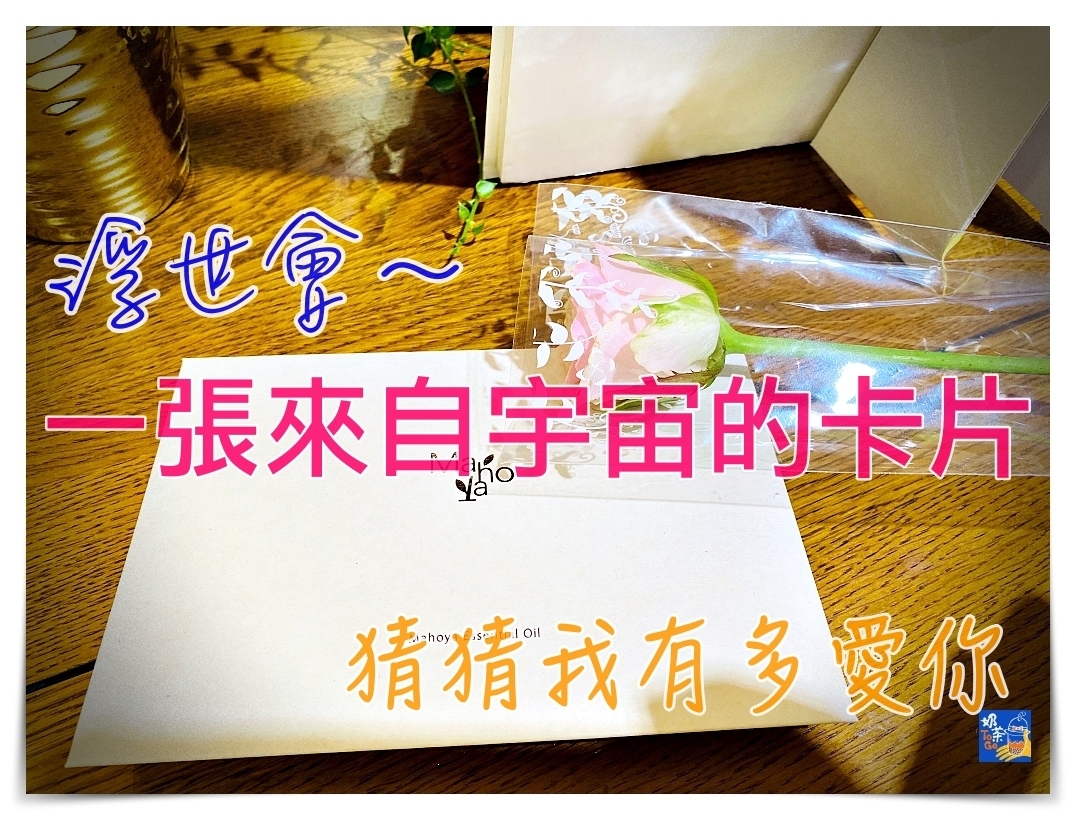 浮世會｜一份來自宇宙的卡片、一份有愛的禮物，到底我是誰？ @走走停停，小燈泡在旅行