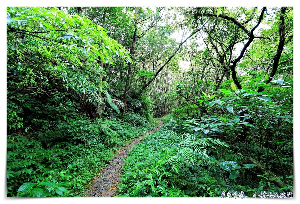 淡蘭古道｜消失的百年古道，四堵古道，值得作為歷史人文山林教育的第一條古道