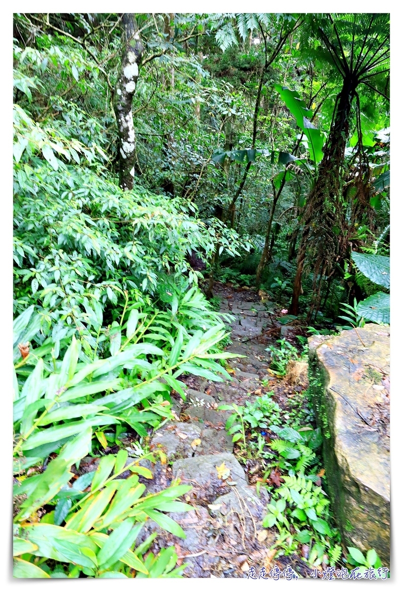 淡蘭古道｜消失的百年古道，四堵古道，值得作為歷史人文山林教育的第一條古道