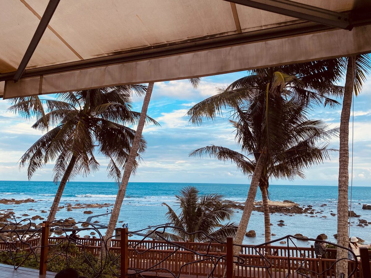 可可娜咖啡coconut’s cafe｜台東富山絕美海景第一排咖啡，台東市區附近海景咖啡店