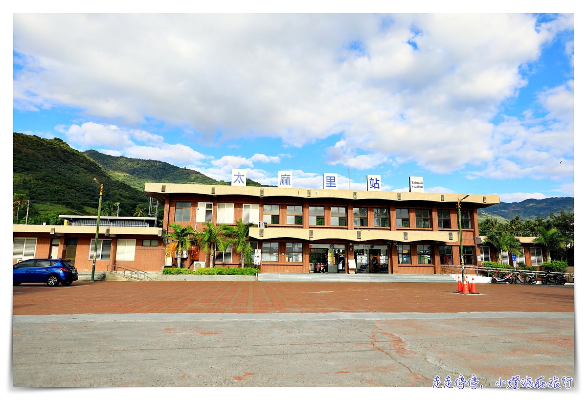 台東太麻里知名景點遊程、釋迦購買與DIY農夫半日體驗｜景點、伴手禮，一次就滿足