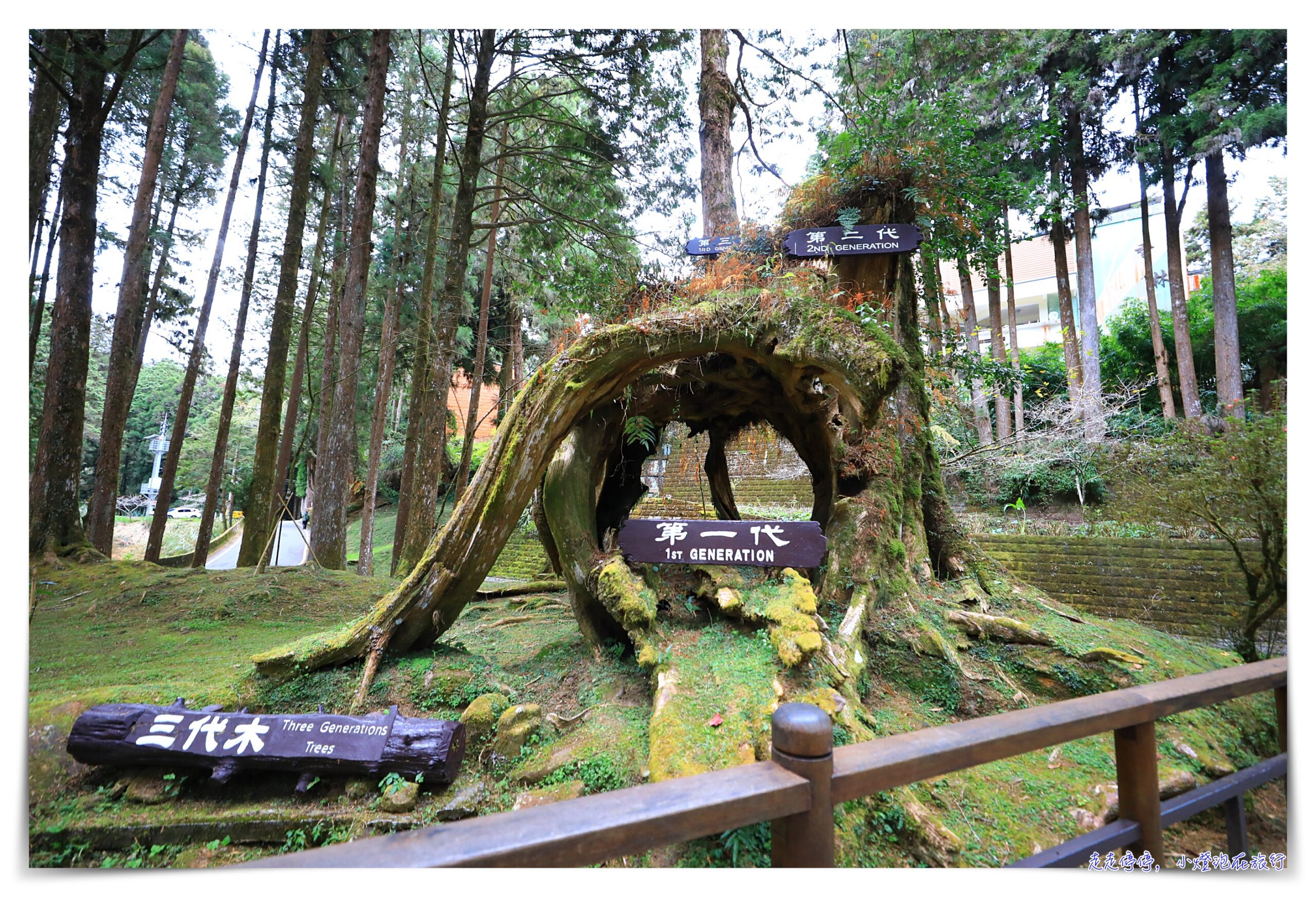 阿里山日出高鐵假期｜搭高鐵、看日出、移動方便輕鬆愉快、行程豐富免自己安排
