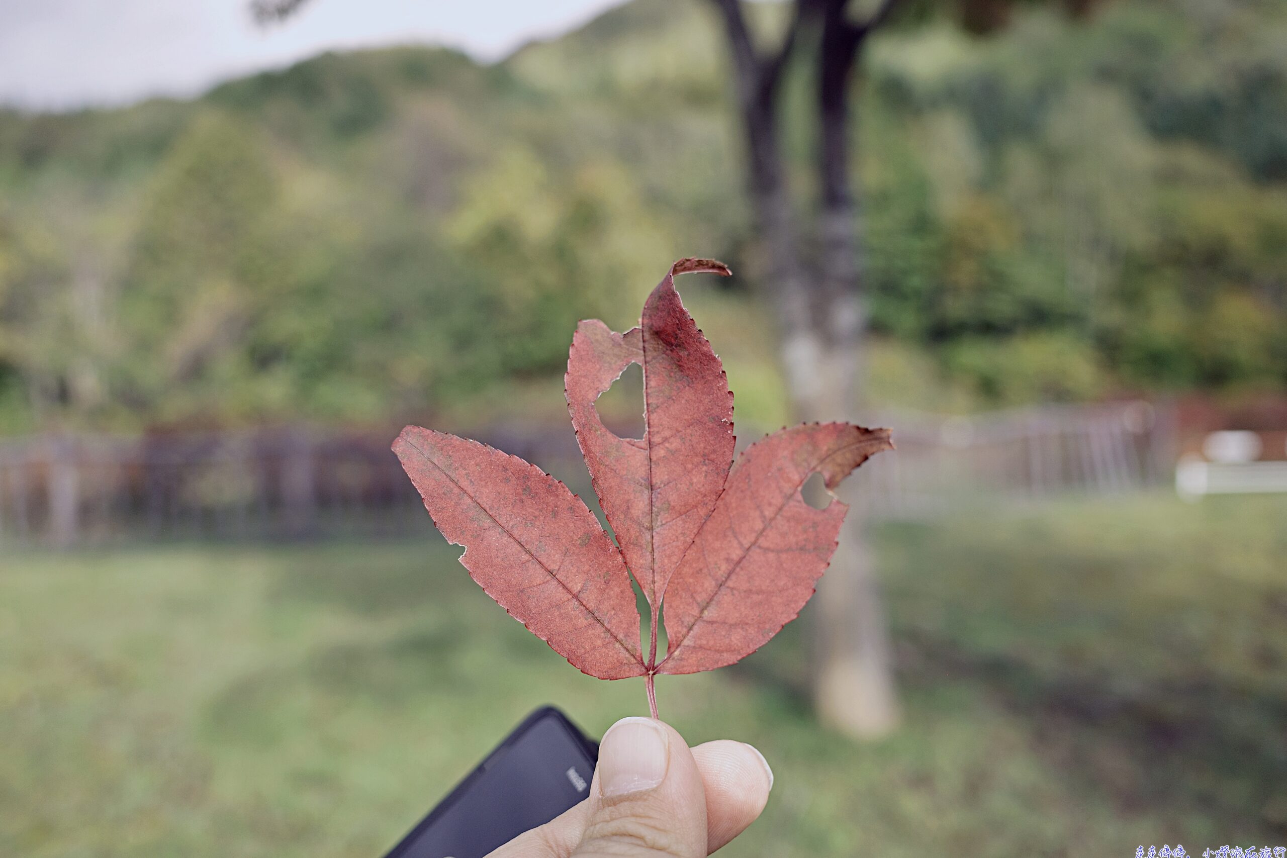 網站近期文章：北海道自駕日記 D2｜定山溪還沒紅的小楓、小樽運河的鯖魚香，以及摸黑走393的夜