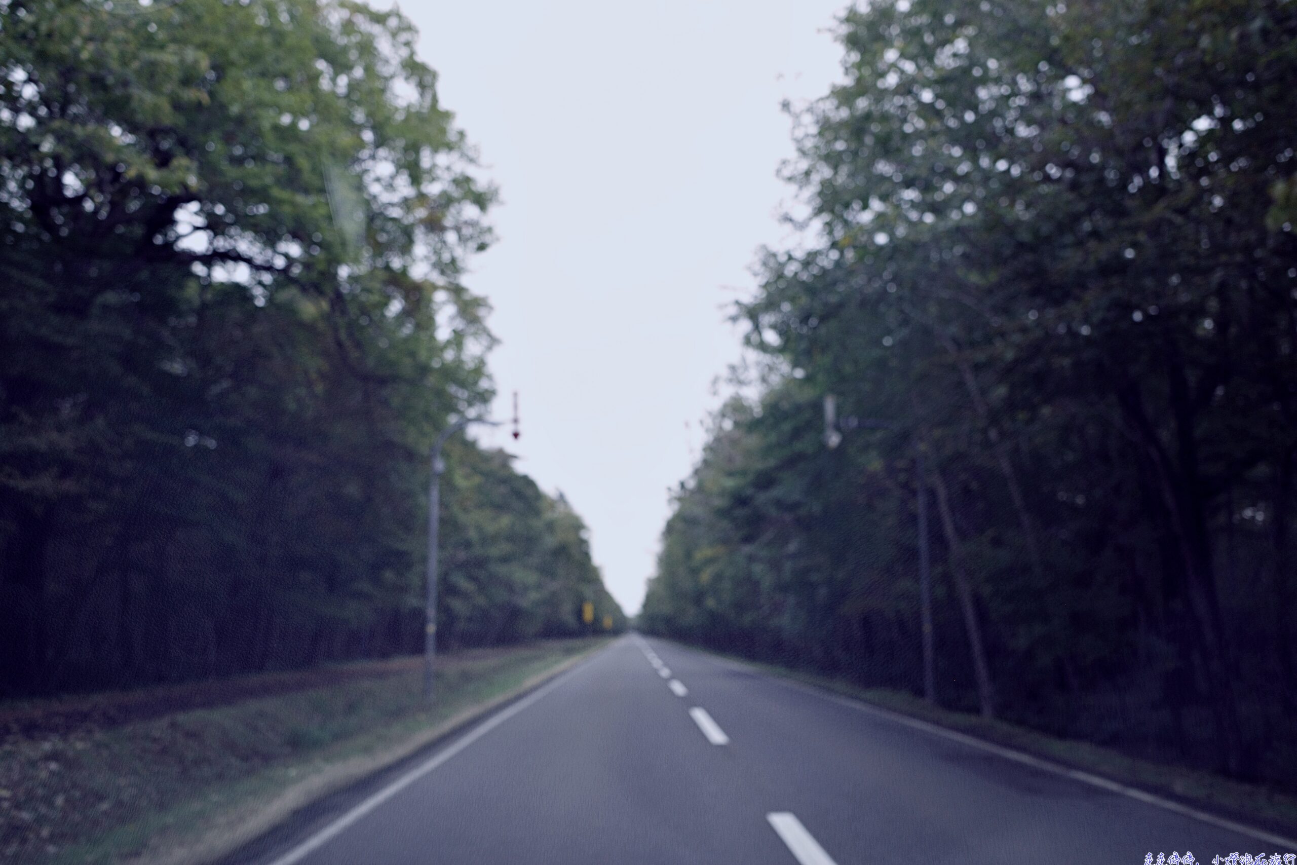 網站近期文章：北海道自駕還車流程全攻略｜二世谷到新千歲＋長榮BR115返台心得【D5日記】