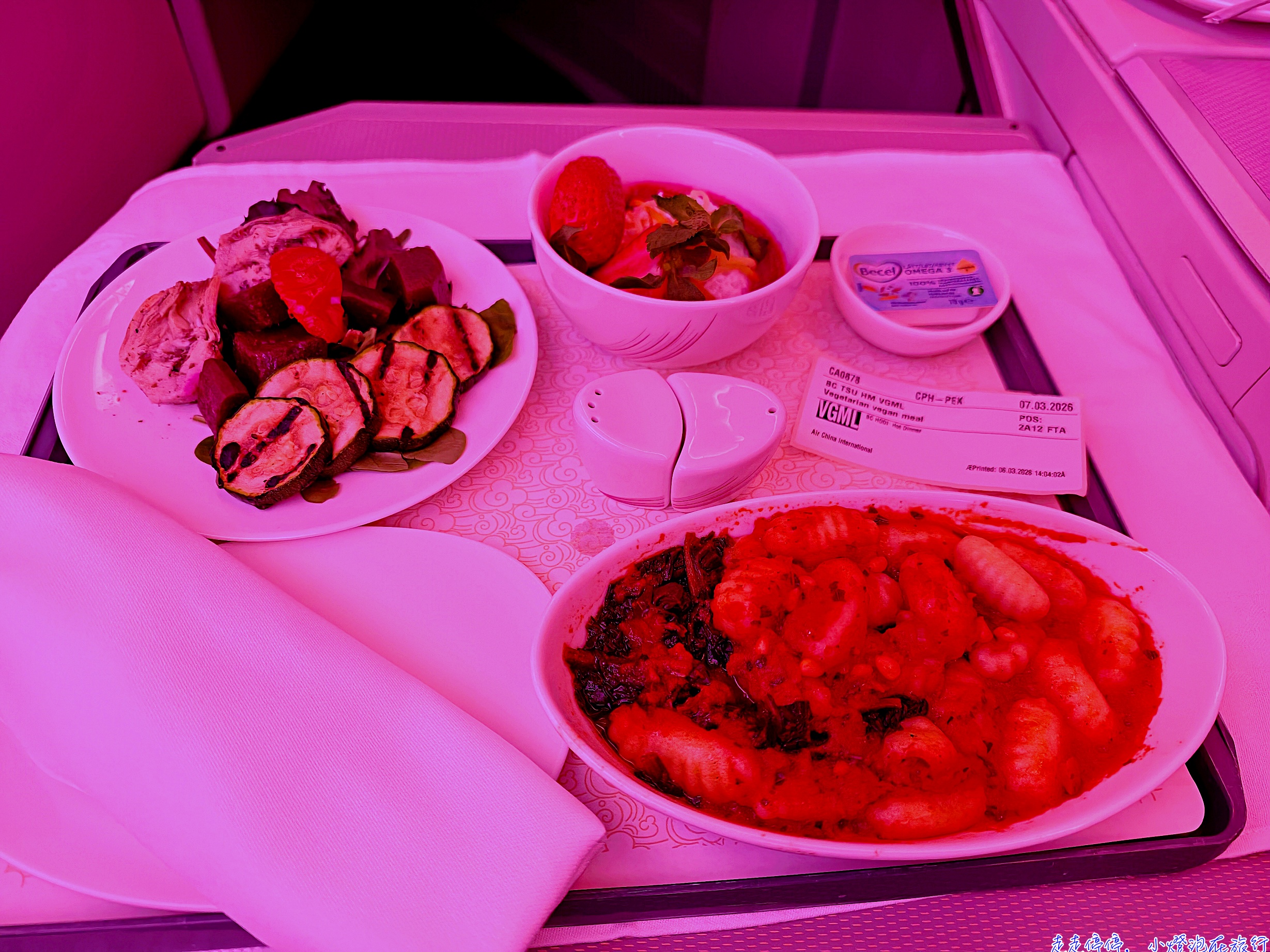 國航北京中轉羽田到哥本哈根來回商務艙完整分享CA184、CA877、CA878、CA421｜時間超漂亮、不用過夜、CP值高！台灣人必看台胞證+素食餐+機型評價