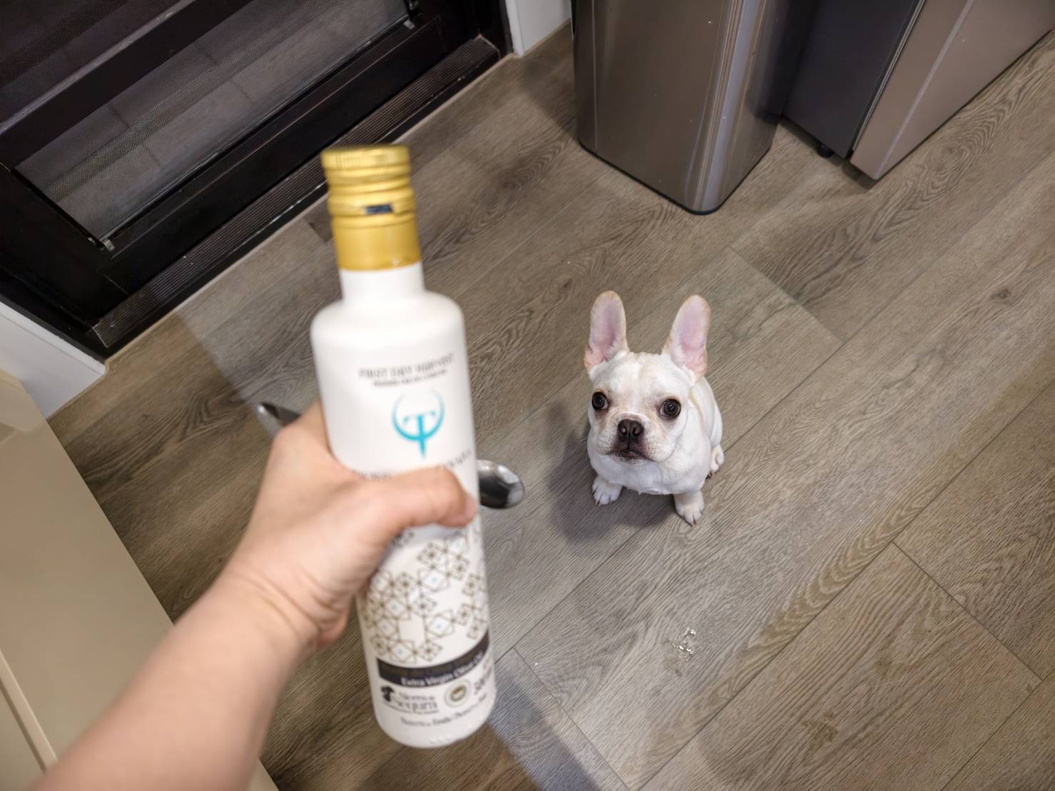 你喝的那瓶橄欖油，是真的橄欖油嗎？西班牙橄欖油怎麼選，帶你從零讀懂這瓶液態黃金