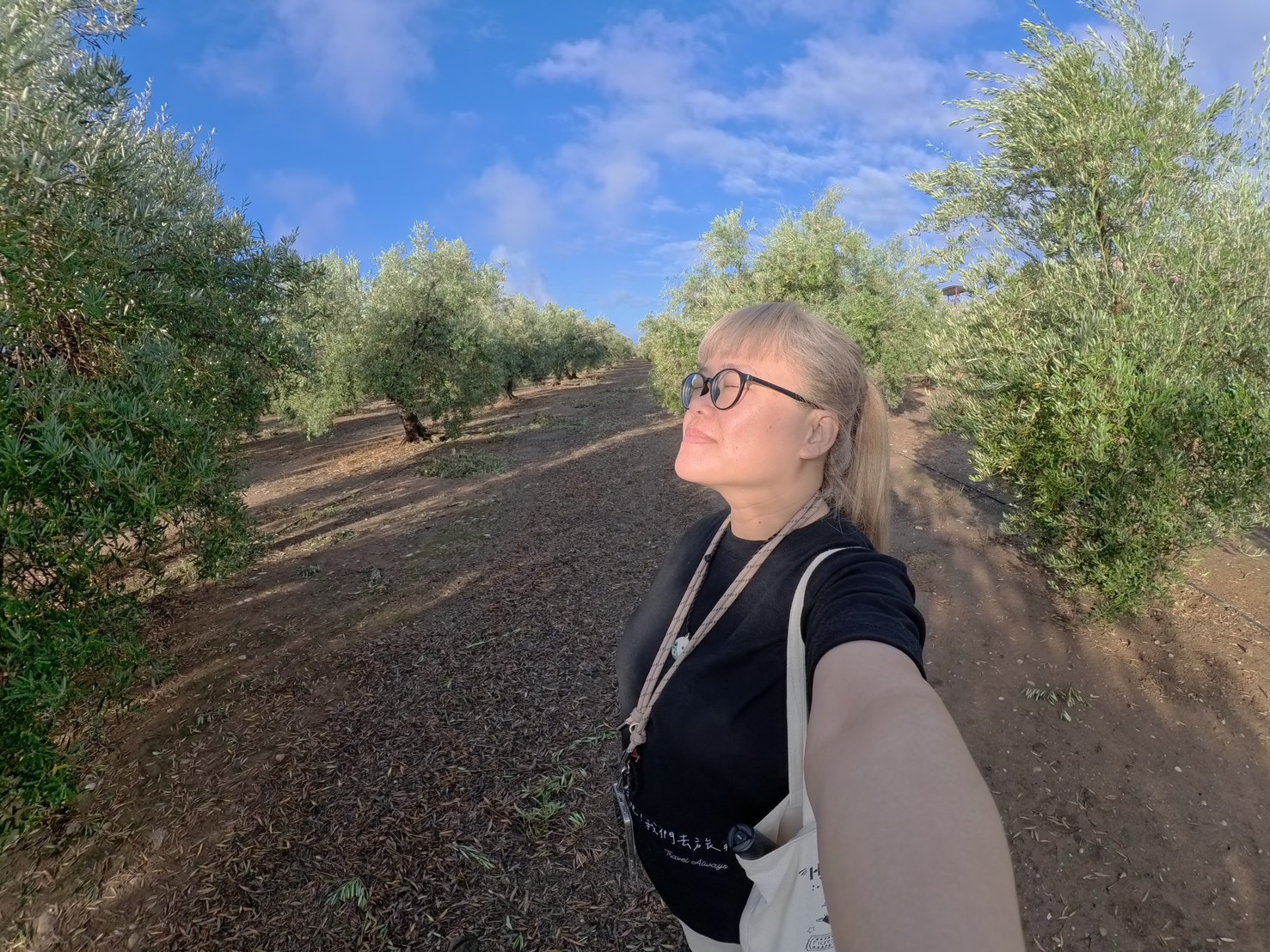 2026奶茶團長北德聖誕市集團｜走一場讓你一輩子忘不了的聖誕節，這才是德國最美的冬天