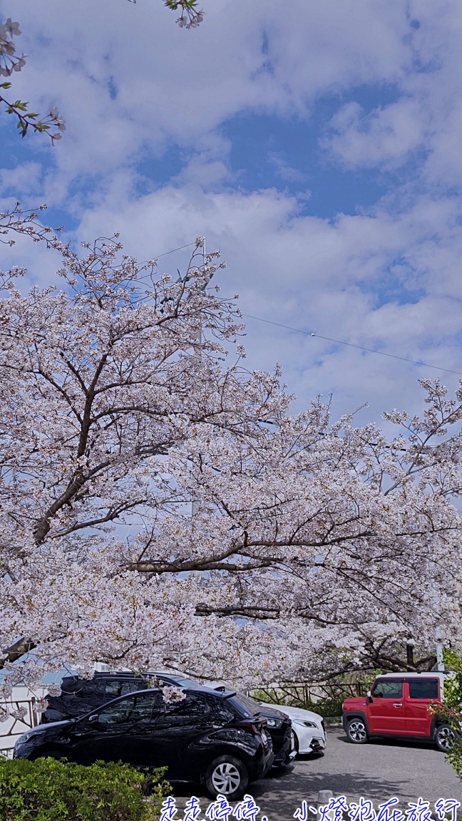四國・小豆島・淡路島自駕全攻略｜日本最後秘境12天深度遊