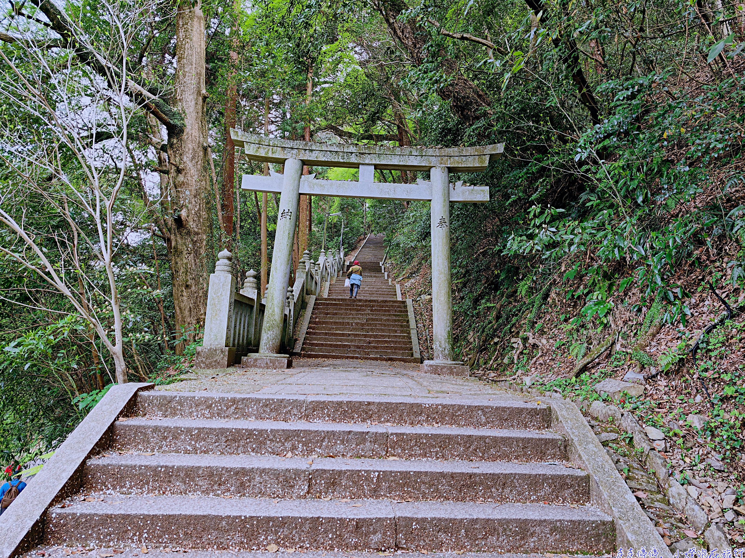 四國・小豆島・淡路島自駕全攻略｜日本最後秘境12天深度遊