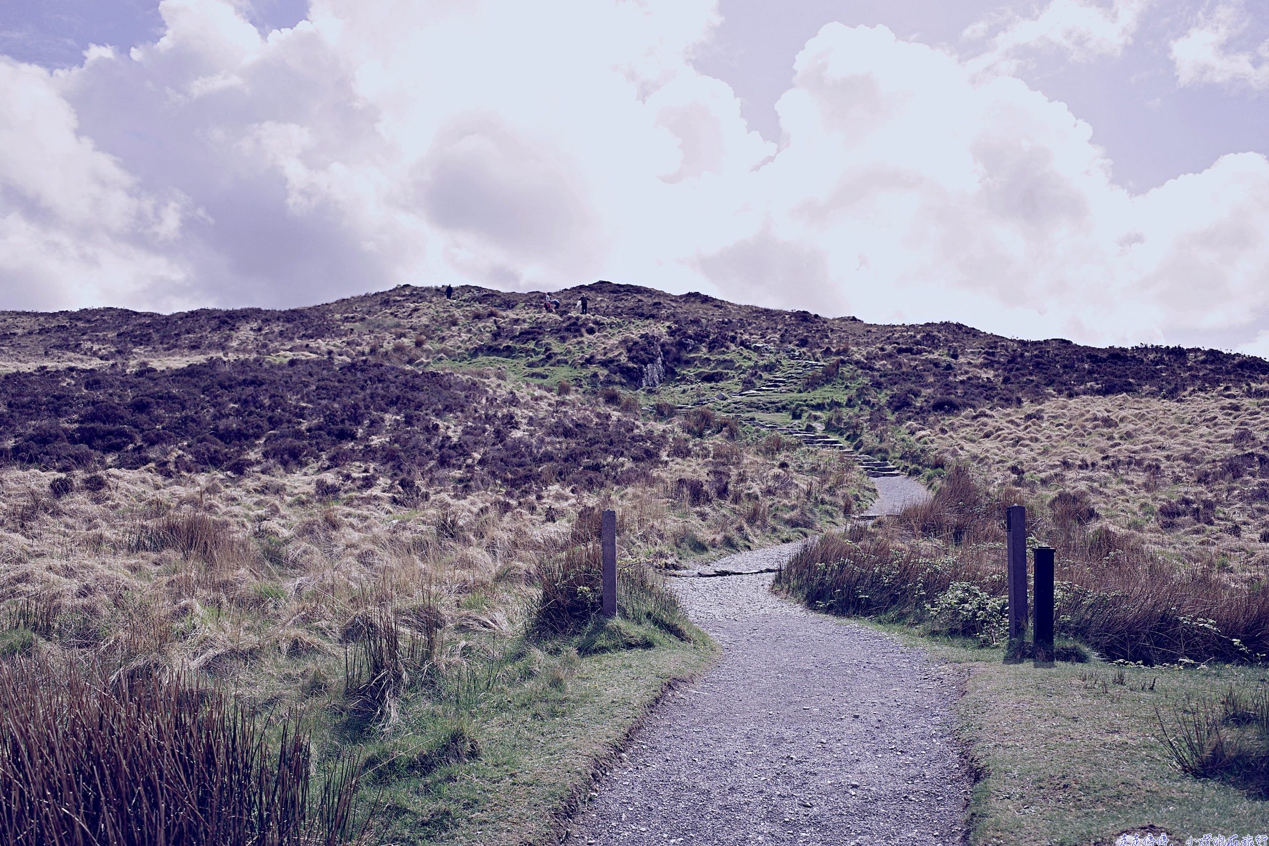 愛爾蘭的前世今生：一個把傷釀成威士忌的民族，如何用故事、音樂與教育改寫世界