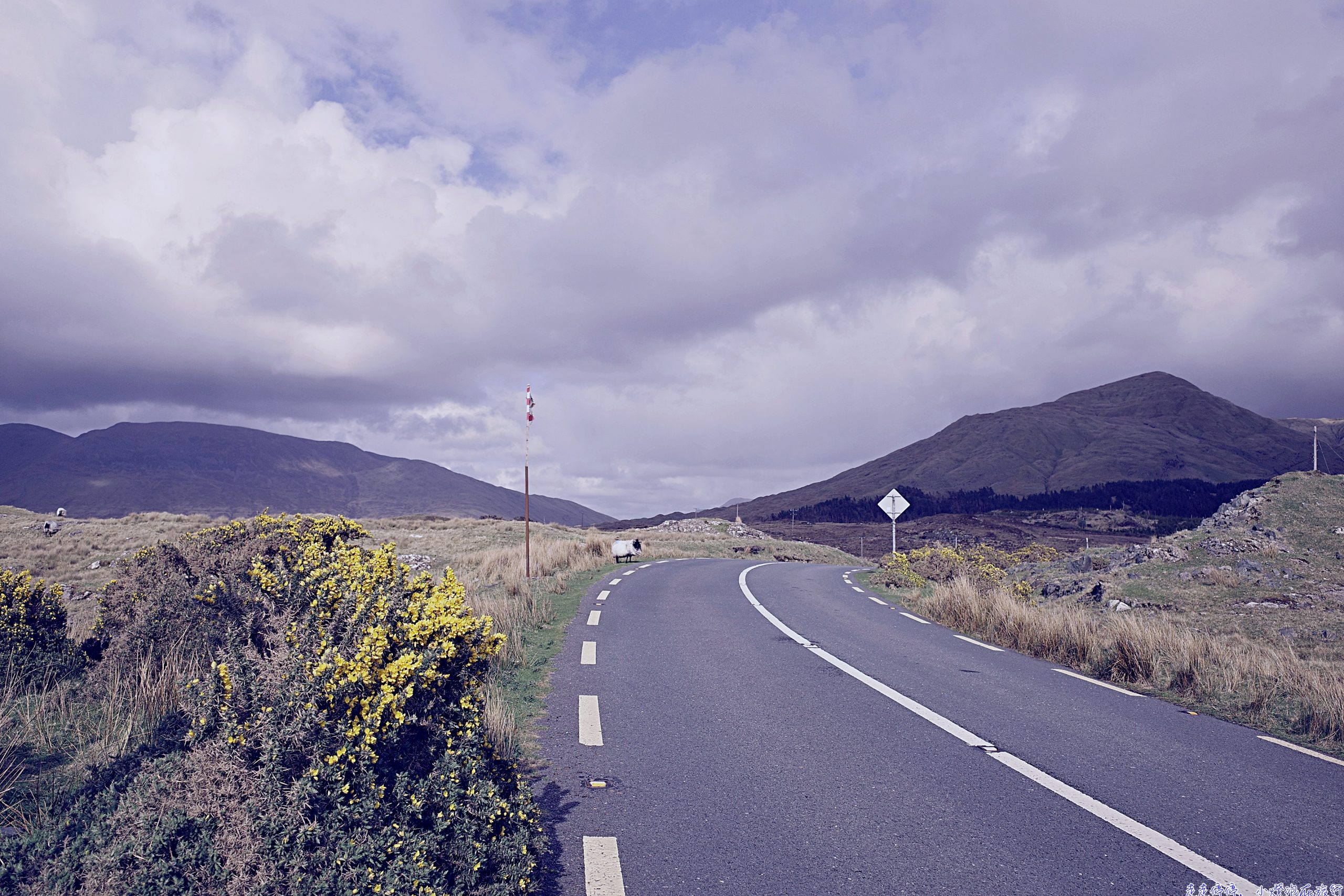 2026奶茶團長帶你走進深度愛爾蘭12日｜一個把七百年的傷釀成溫柔的民族，等你親自去感受