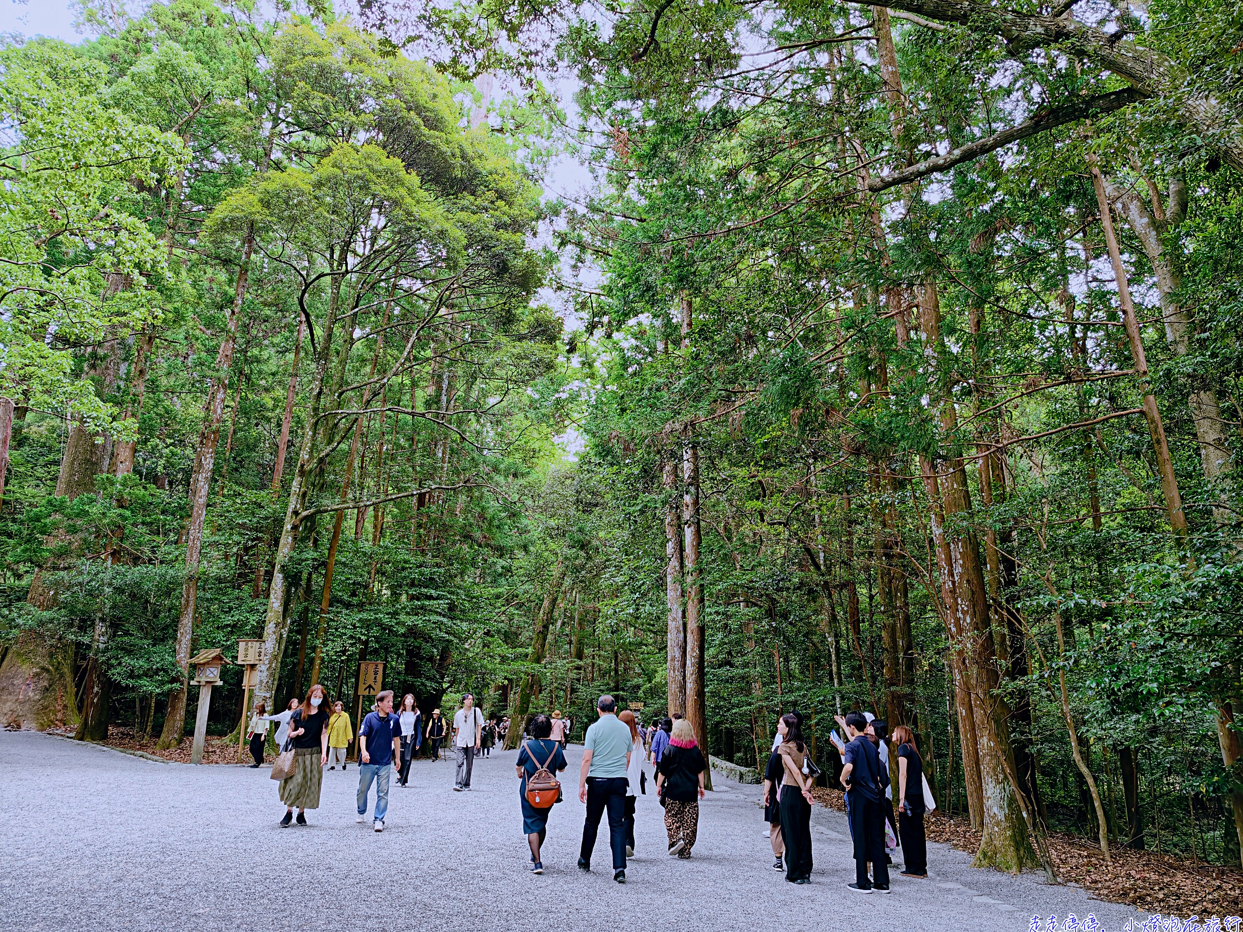 伊勢神宮完整攻略 2026｜日本人一生必去的心靈故鄉、式年遷宮、熊野古道伊勢路、交通參拜全指南