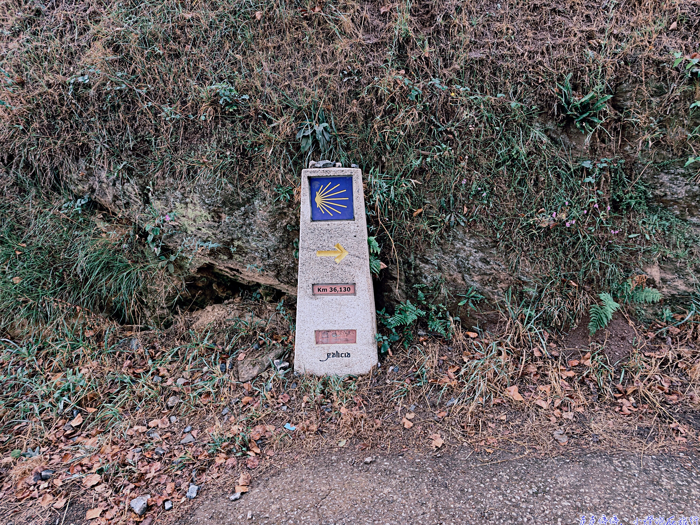 葡萄牙朝聖之路全攻略:第一次走 Camino Português,從哪裡開始?路線、住宿、朝聖證書與雙朝聖完整指南 @走走停停,小燈泡在旅行 葡萄牙朝聖之路全攻略:第一次走 Camino Português,從哪裡開始?路線、住宿、朝聖證書與雙朝聖完整指南