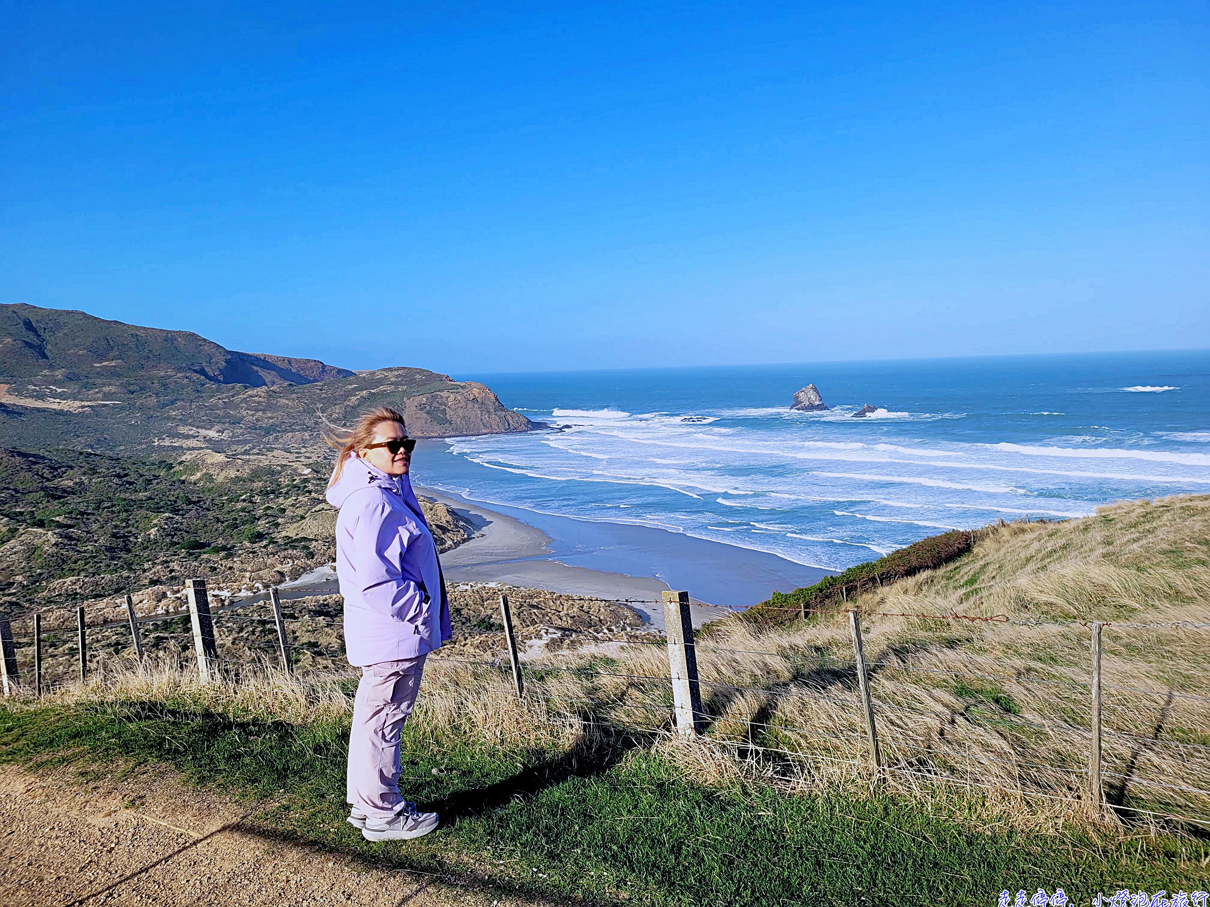 但尼丁：南半球愛丁堡之外，更是全球生態旅遊絕佳天堂｜Otago Peninsula 野生動物深度指南