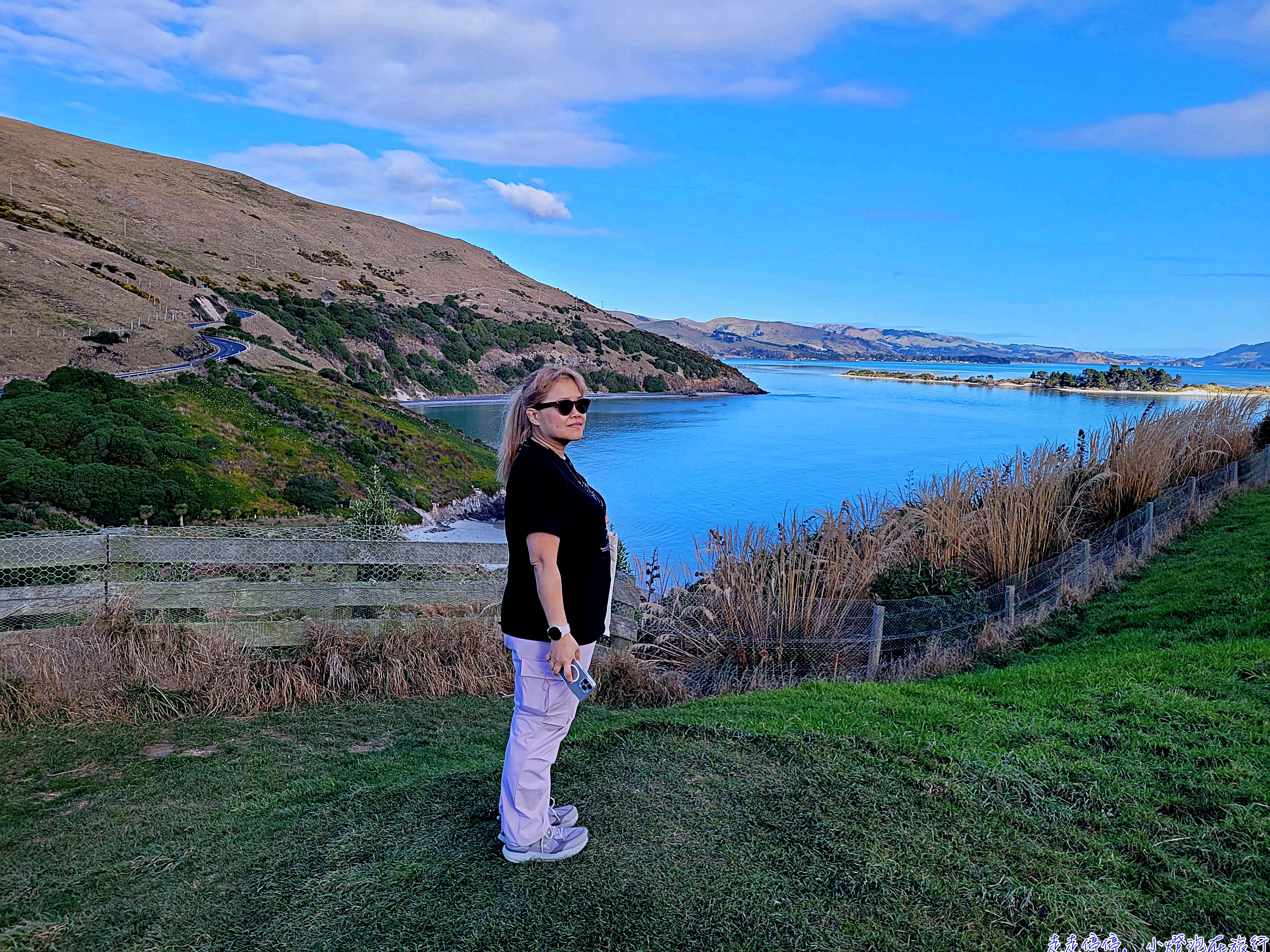 但尼丁：南半球愛丁堡之外，更是全球生態旅遊絕佳天堂｜Otago Peninsula 野生動物深度指南