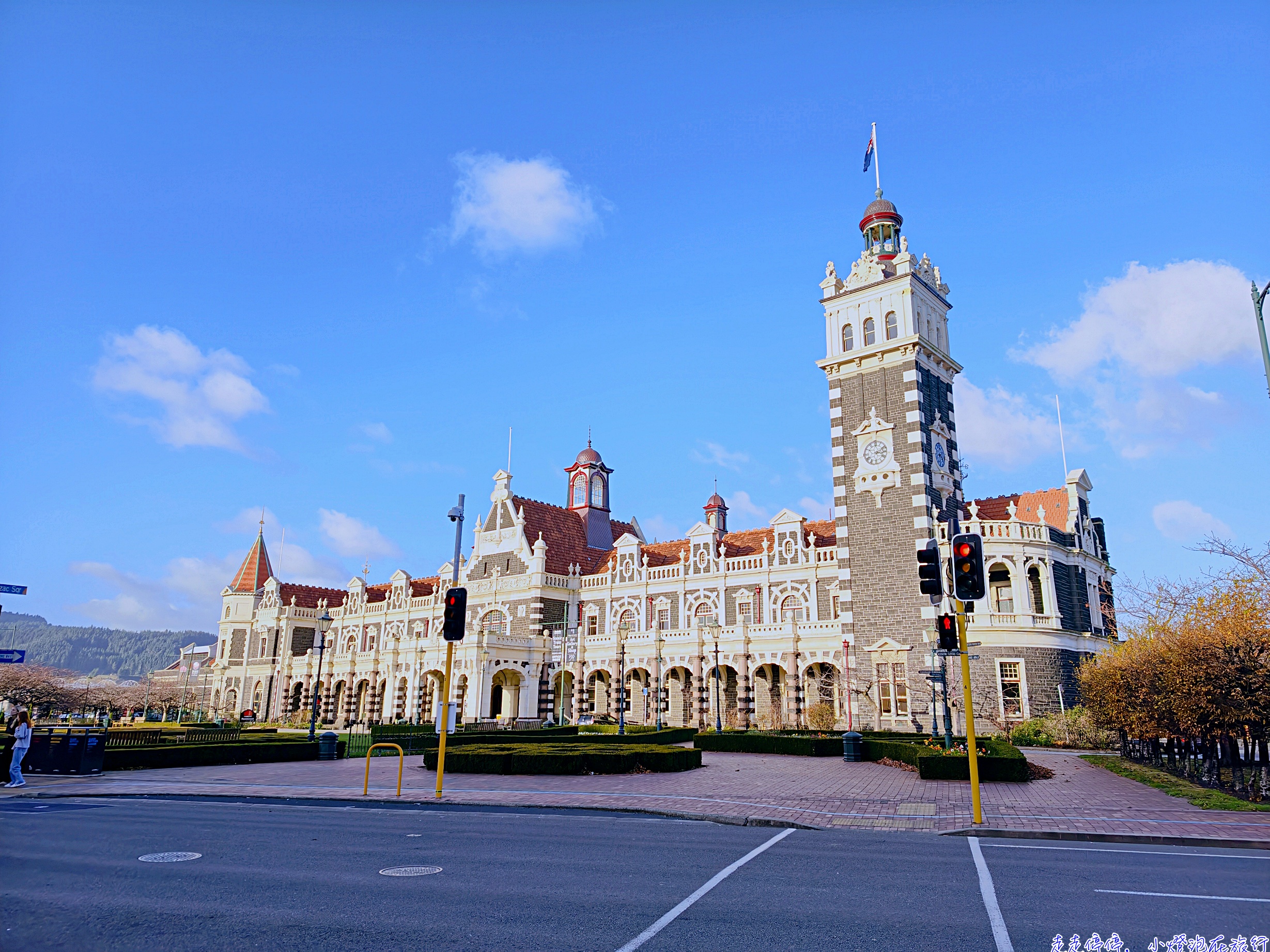 但尼丁：南半球愛丁堡之外，更是全球生態旅遊絕佳天堂｜Otago Peninsula 野生動物深度指南
