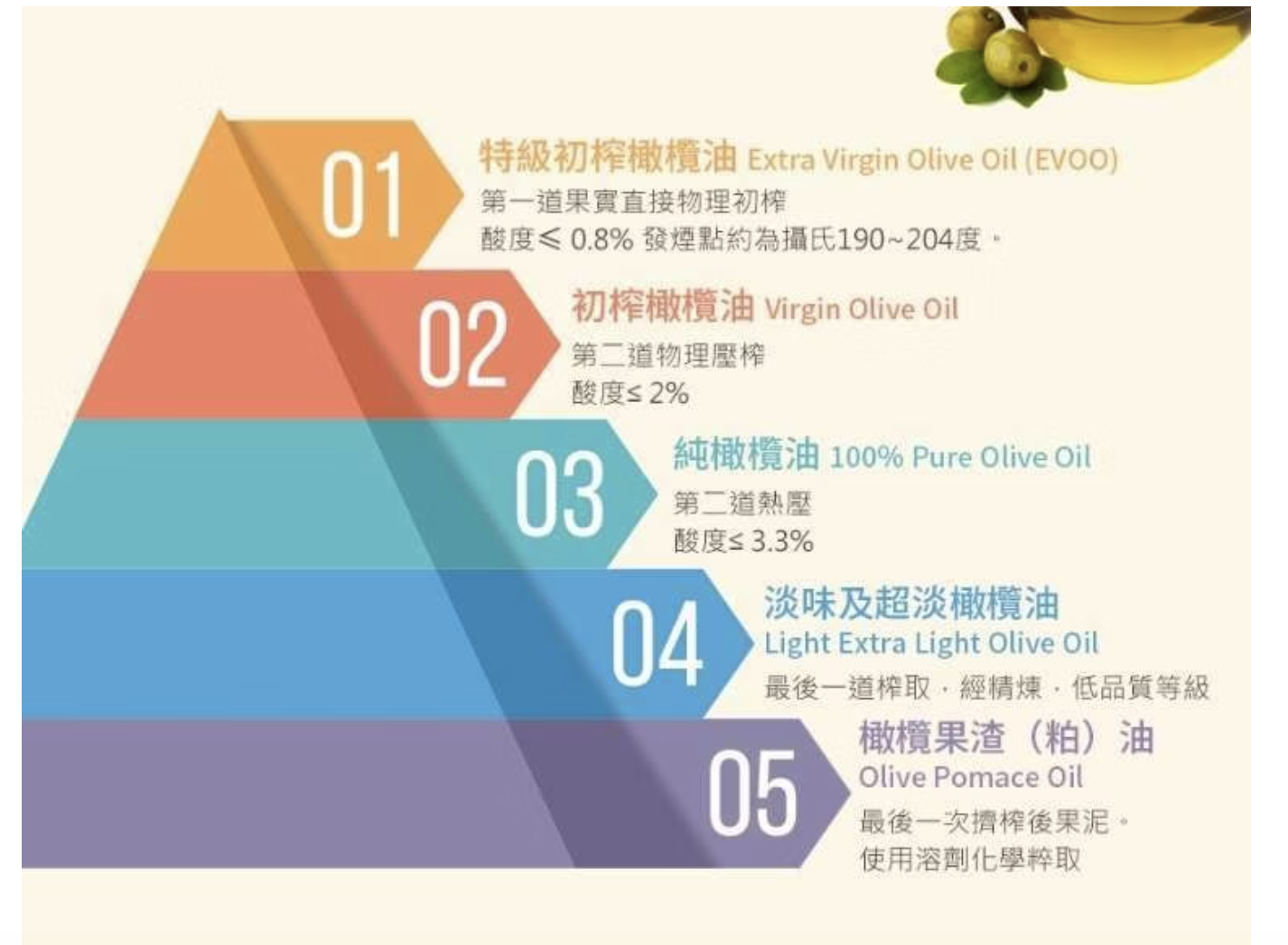 【橄欖油品鑑師帶你看】西班牙橄欖油怎麼挑：標籤、產區、採收日期一次看懂