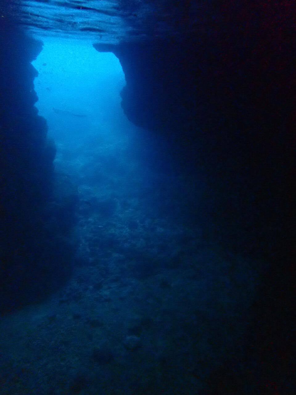沖繩潛水推薦|My Diving,台灣中文服務、貼心套裝、專業證照教練群,青之洞窟 ・沖繩潛水 ・沖繩浮濳最貼心浮潛/潛水店家 @走走停停,小燈泡在旅行 沖繩潛水推薦|My Diving,台灣中文服務、貼心套裝、專業證照教練群,青之洞窟 ・沖繩潛水 ・沖繩浮濳最貼心浮潛/潛水店家