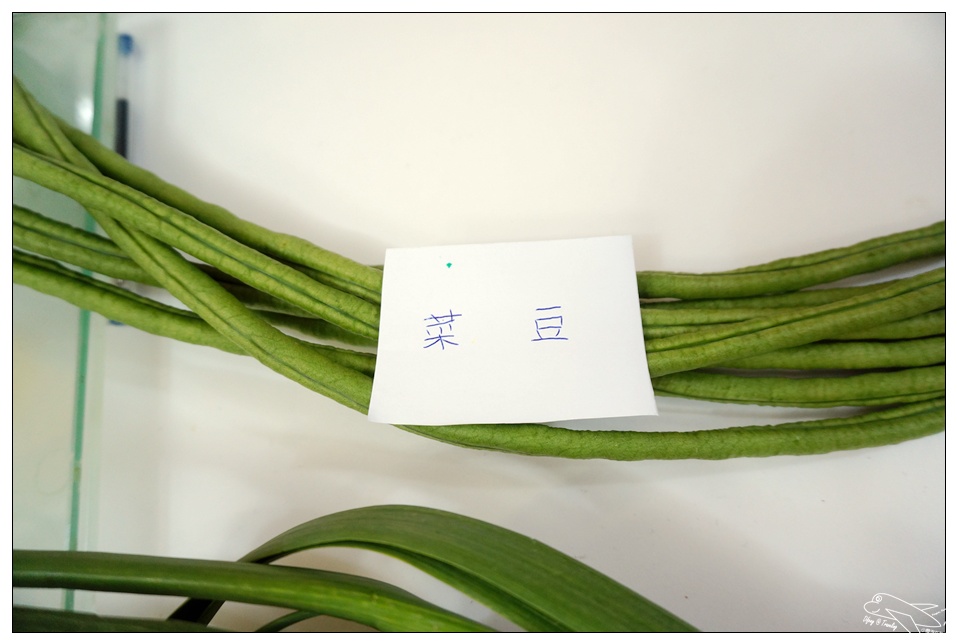 帶著孩子去傳統市場買菜|一種生活能力的學習・讓孩子培養社會溝通能力吧！