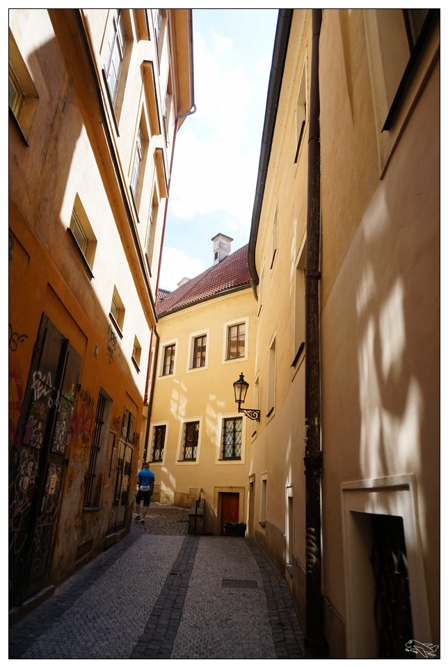 dsc02905