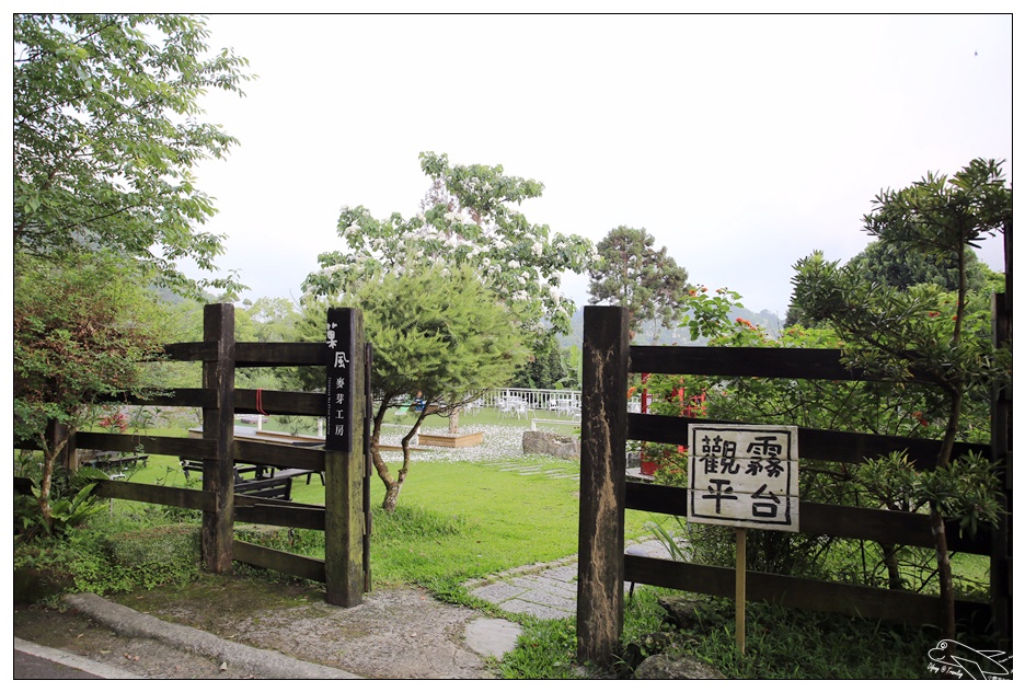 菓風丘上行館・菓風麥芽工房|新竹螢火蟲桐花親子民宿・打開門就有螢火蟲・生態環境美好的大自然寧靜住宿～五指山踏青～