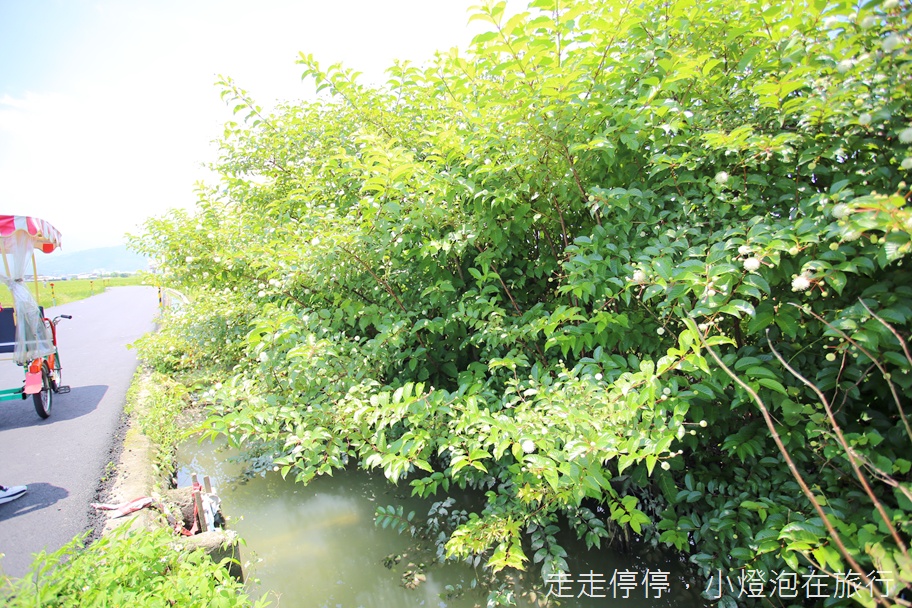 宜蘭一日農村小旅行｜你不知道的冬山・利澤親子新玩法～