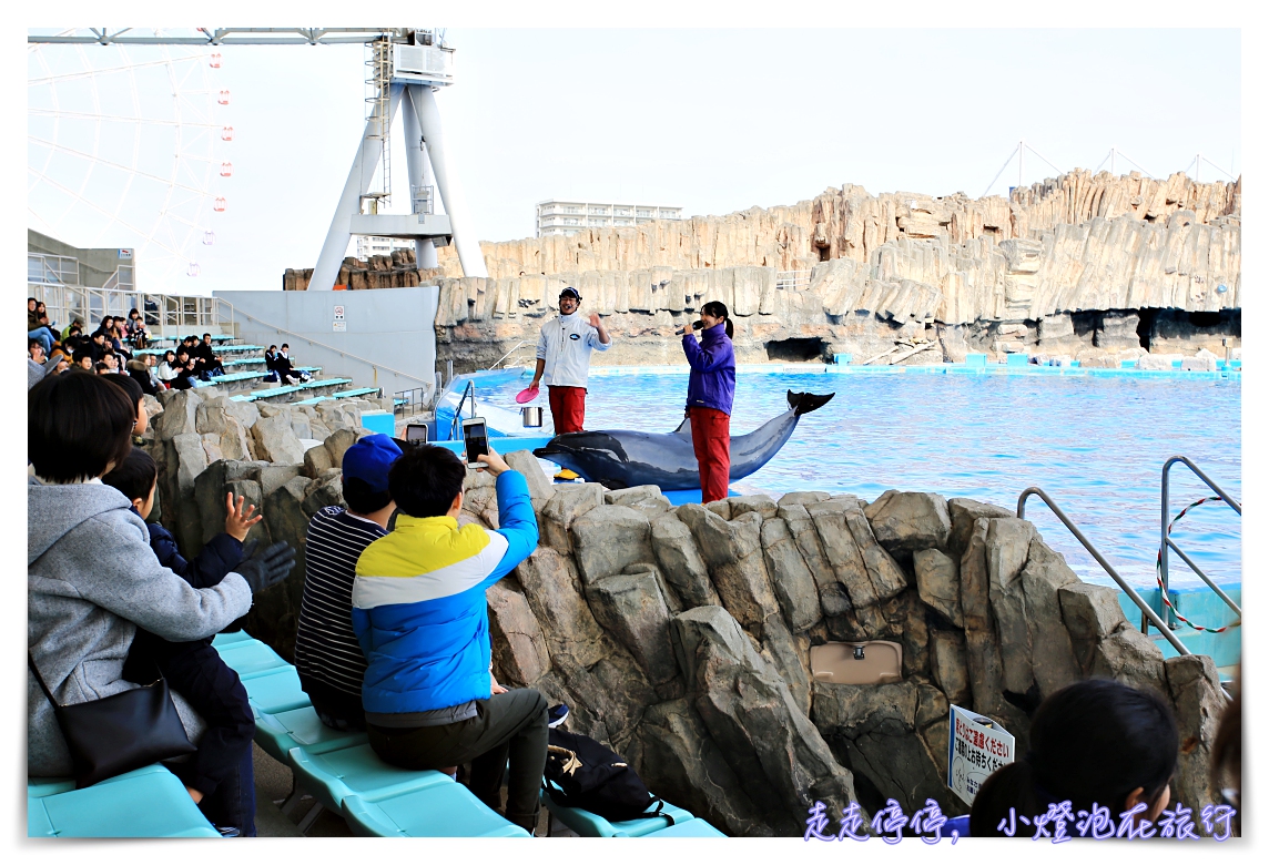 名古屋港水族館｜日本最大海豚虎鯨表演場，親子名古屋歡樂景點～（圖超多。超精彩行程）