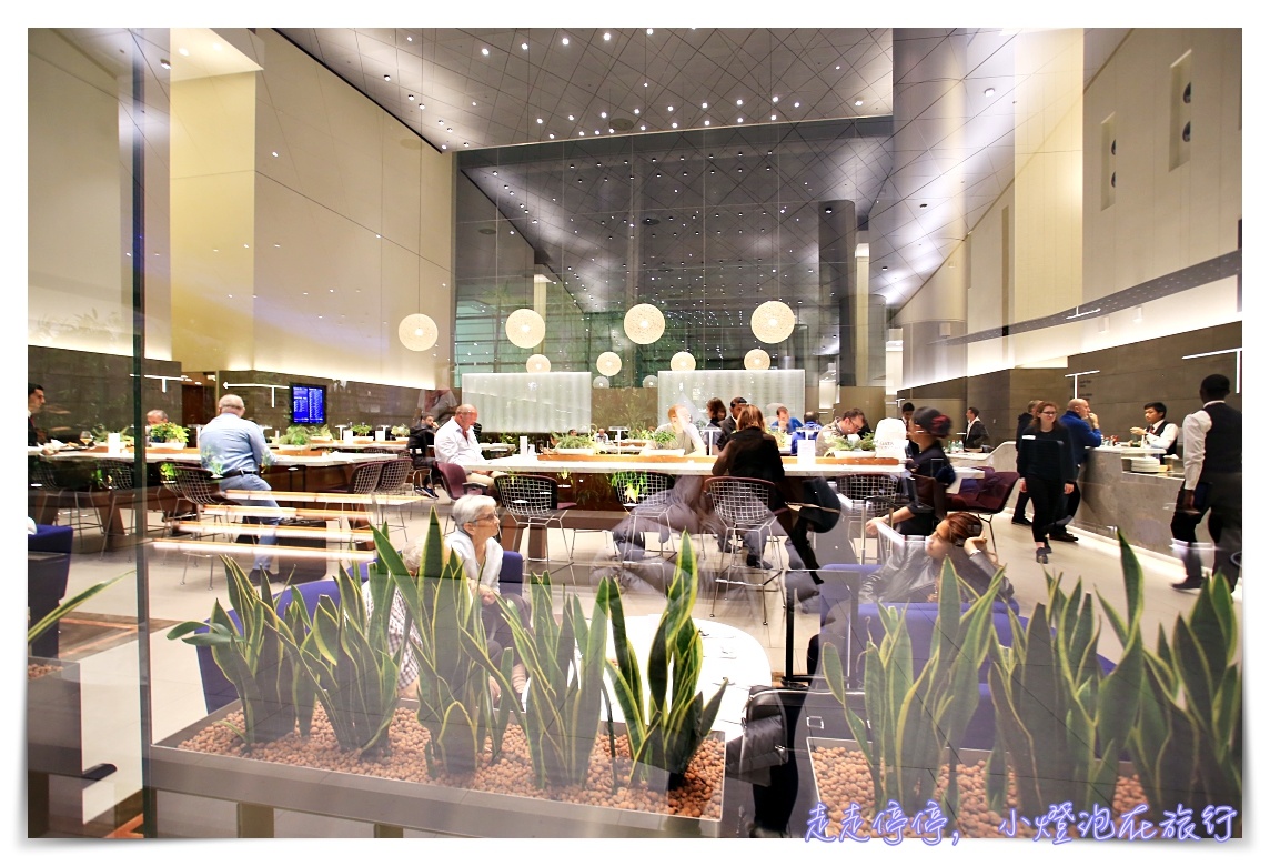 全球第一名商務艙貴賓室體驗|卡達Al Mourjan Business Lounge,杜哈機場超值豪華轉機,可吃飽、可洗澡、可遊戲 @走走停停,小燈泡在旅行 全球第一名商務艙貴賓室體驗|卡達Al Mourjan Business Lounge,杜哈機場超值豪華轉機,可吃飽、可洗澡、可遊戲