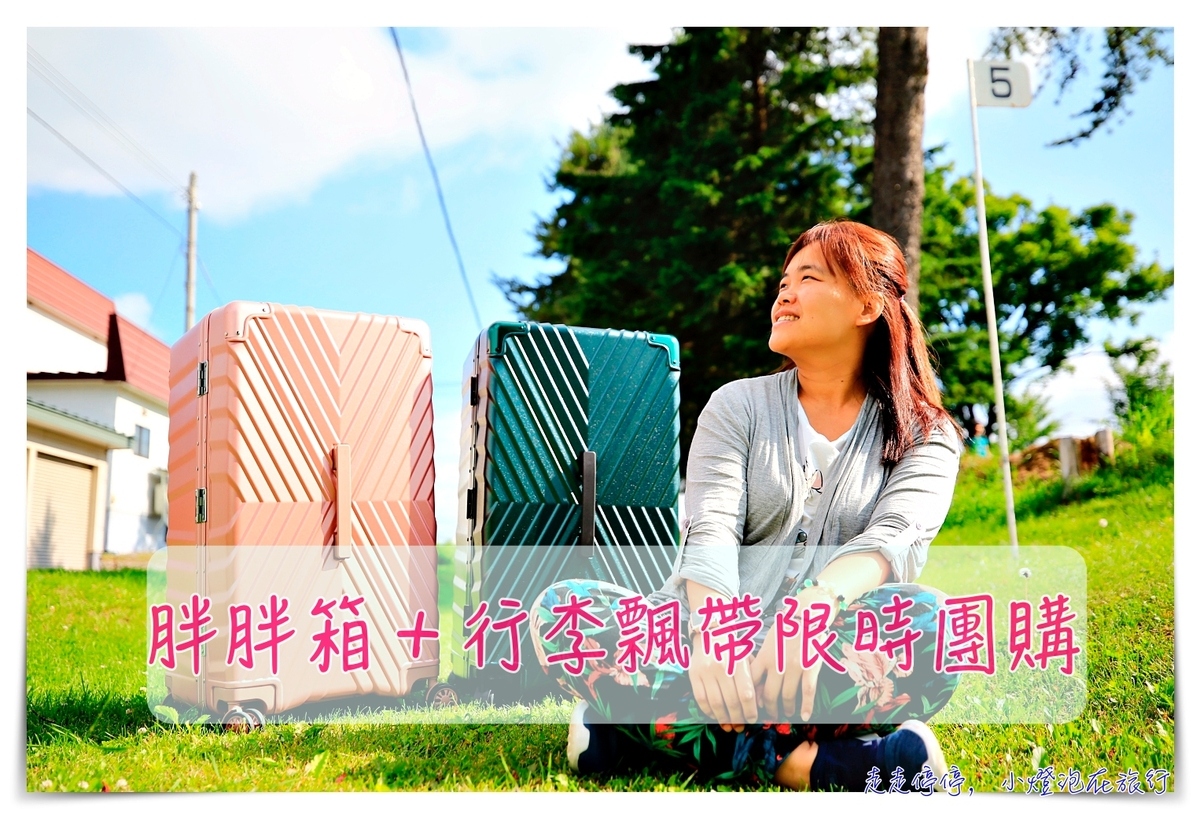 延伸閱讀：30吋胖胖箱團購｜好推拉、堅固、一年保固、終生保修，日本血拼採購行李箱推薦～俐德美行李箱～
