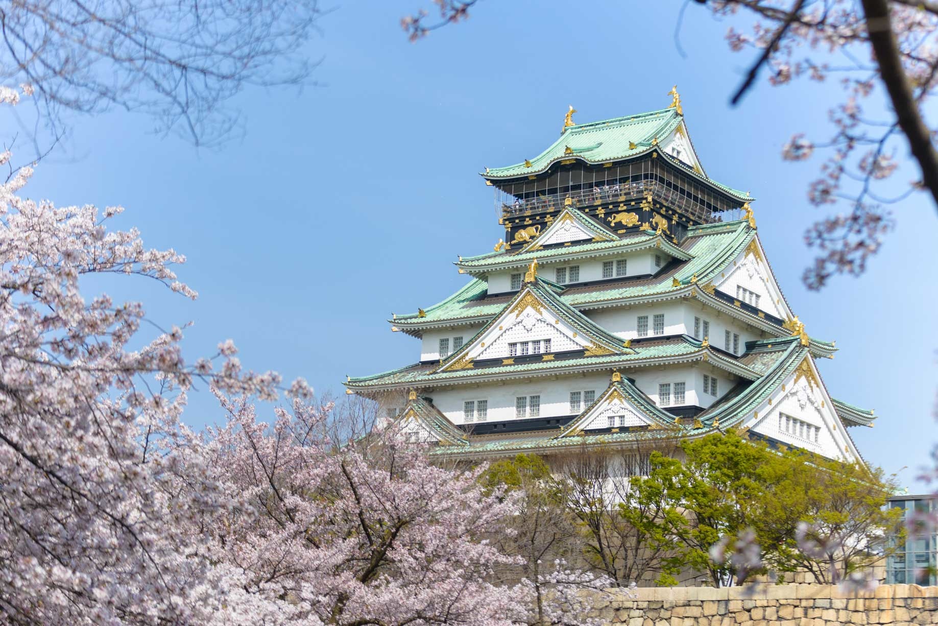 2018酷航日本航線增班囉!東京、札幌、大阪線,全都拉高營運量~同場加映2019賞櫻去程便宜票價搜查 @走走停停,小燈泡在旅行 2018酷航日本航線增班囉!東京、札幌、大阪線,全都拉高營運量~同場加映2019賞櫻去程便宜票價搜查